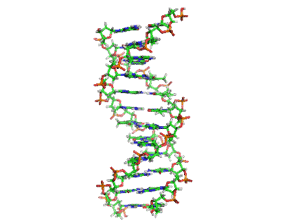 http://www.simangus.us/library/dna_orbit_animatedsmall.gif