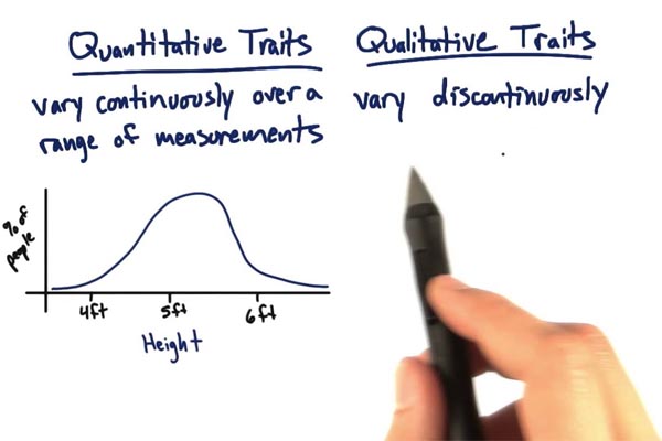 Qualitative vs. Quantitative Traits