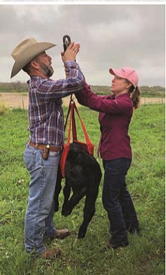 Tom Brothers Ranch is highly committed to collecting important data.