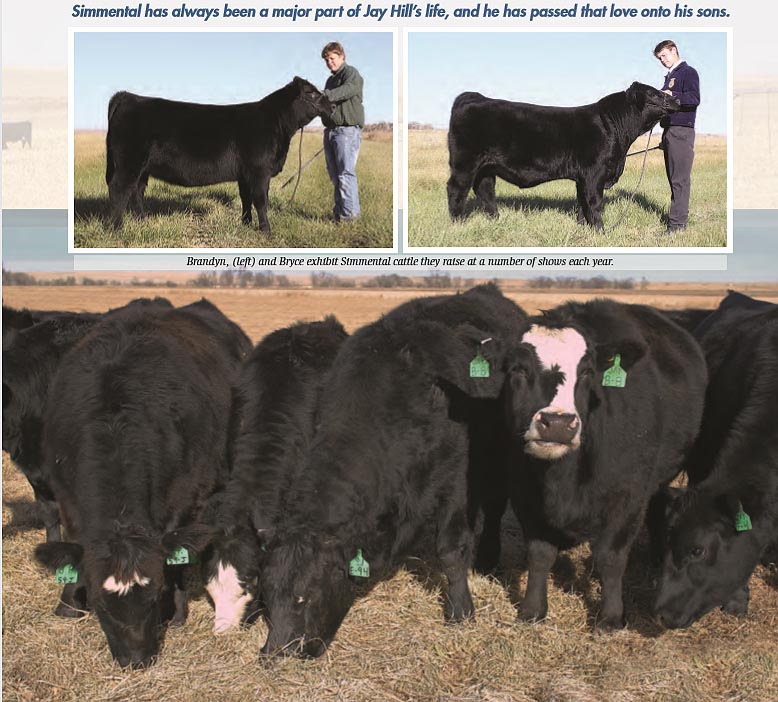 http://www.simangus.us/mags/for_future-of_simmental1.jpg