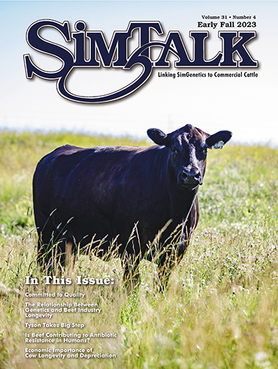 SimTalk Magazine - Current Issue